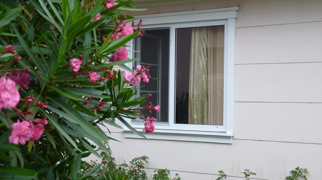 Azores Garden House - Private Suites & Apartments - Automatic Self Check-In Ponta Delgada Exteriör bild