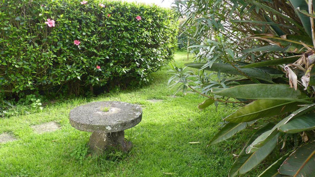 Azores Garden House - Private Suites & Apartments - Automatic Self Check-In Ponta Delgada Exteriör bild