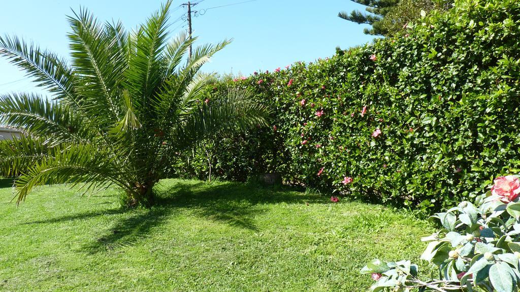 Azores Garden House - Private Suites & Apartments - Automatic Self Check-In Ponta Delgada Exteriör bild