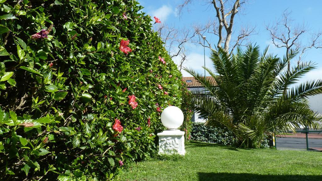Azores Garden House - Private Suites & Apartments - Automatic Self Check-In Ponta Delgada Exteriör bild
